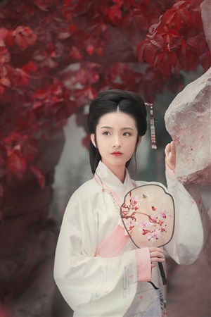 多男一女免費觀看電視劇高清全集