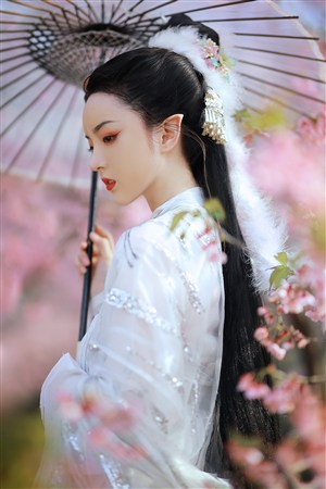 五福臨門電視劇免費觀看完整版